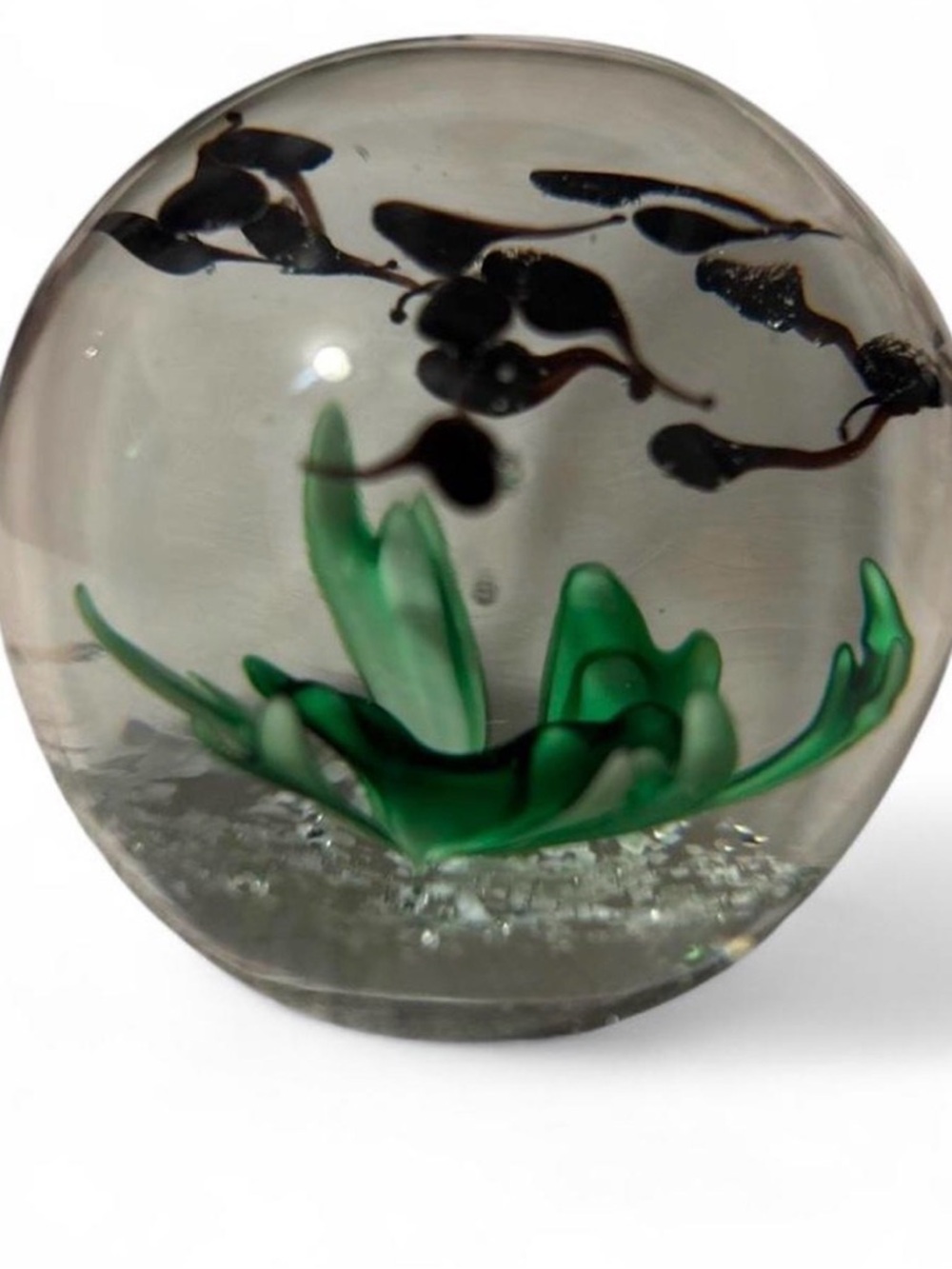 Dynasty Gallery Tadpole Art Glass Paperweight 4” Clear Green Frog Spawn Collecti